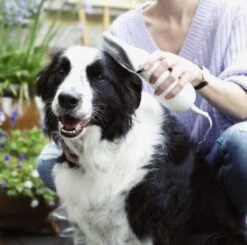 Merkloos HondenFöhn En Borstel - RVS Borstel - Huisdieren - 2 In 1 Hondenföhn -Huisdier Verkoop 1200x1190 5