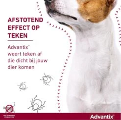 Bayer Advantix Spot-on 400/2000 25+ Kg - 4 Pipetten -Huisdier Verkoop 1200x1191 10