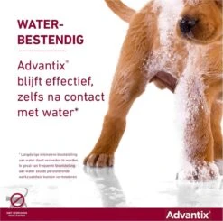 Bayer Advantix Spot-on 400/2000 25+ Kg - 4 Pipetten -Huisdier Verkoop 1200x1191 11