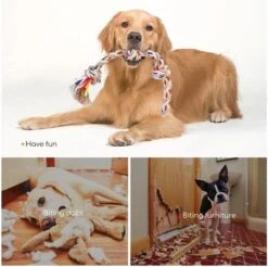 Nobleza Hondentouw - Speeltouw Hond - Flostouw Hond - Trektouw Hond - Lang - Geknoopt -Huisdier Verkoop 1200x1193 17