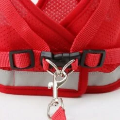 Merkloos Verstelbaar Kattentuigje Reflecterend - Kattenharnas - Kattentuig Met Looplijn - Rood - Maat S -Huisdier Verkoop 1200x1194 21
