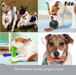 Filo Honden Speelgoed Set 14 Stuks - Hondenspeeltjes Knuffel - Hondenbal - Flostouw - Bot - Frisbee - Hondentouw - Hondenspeelgoed Intelligentie - Kauwspeelgoed Hond En Puppy - Bijtspeelgoed Hondenknuffel - Hondenspeeltje Met Piep -Huisdier Verkoop 1200x1197 31