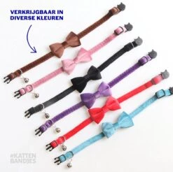 Kattenhalsband Velvet Met Strik | Halsband Kat | Kattenband Velours | Kattenbandje Velvet Met Strik, Veiligheidssluiting En Belletje In Roze 10 Kattenhalsband Velvet Met Strik | Halsband Kat | Kattenband Velours | Kattenbandje Velvet Met Strik, Veiligheidssluiting En Belletje In Roze -Huisdier Verkoop 1200x1197 58