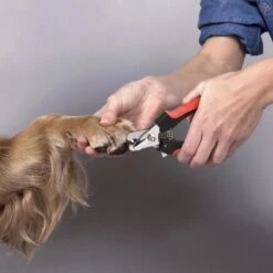 Merkloos Professionele Nagelschaar - Dieren Nagelschaar - Rood & Zwart - Honden Nagelknipper - Hondennagels - Honden Knip Schaar - Honden Knipsch -Huisdier Verkoop 1200x1198 14