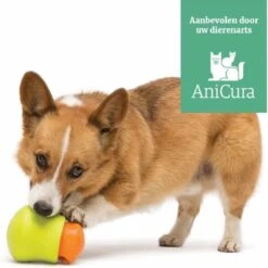 West Paw Toppl Zogoflex - Uitdagend En Sterk Speelgoed Voor Honden - Slowfeeder - Vulbaar Met Voer Of Snacks - Kleur: Groen, Maat: Large 31 West Paw Toppl Zogoflex - Uitdagend En Sterk Speelgoed Voor Honden - Slowfeeder - Vulbaar Met Voer Of Snacks - Kleur: Groen, Maat: Large -Huisdier Verkoop 1200x1198