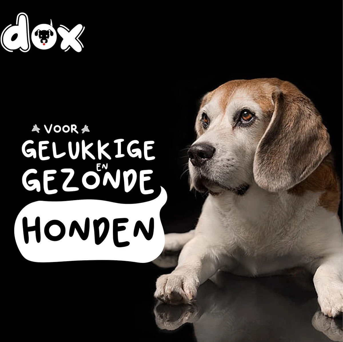 DDOXX Voerbak, Antislip | Vele Kleuren & Maten | Voor Kleine & Grote Honden | Voerbak Kat | Hondenbak Hond | Kattenbak Roestvrijstalen Bak | Melamine Bak | Zwart, 350 Ml 8 DDOXX Voerbak, Antislip | Vele Kleuren & Maten | Voor Kleine & Grote Honden | Voerbak Kat | Hondenbak Hond | Kattenbak Roestvrijstalen Bak | Melamine Bak | Zwart, 350 Ml - Afbeelding 6