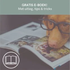 Comfort Company Praatknop Hond | Dogbuttons – Honden Speelgoed | Honden Speelgoed Intelligentie | 4 Stuks | Agility Voor De Hond | 30 Seconden Opnamen | Honden Training -Huisdier Verkoop 1200x1198 41