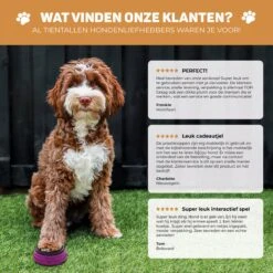 Vulpes Pets® PRO Praatknop Voor Honden - Dogbuttons - Laat Uw Huisdier Spreken - Hondenspeelgoed - Honden Training - Incl. E-Book & Trainingsstickers 22 Vulpes Pets® PRO Praatknop Voor Honden - Dogbuttons - Laat Uw Huisdier Spreken - Hondenspeelgoed - Honden Training - Incl. E-Book & Trainingsstickers -Huisdier Verkoop 1200x1198 42
