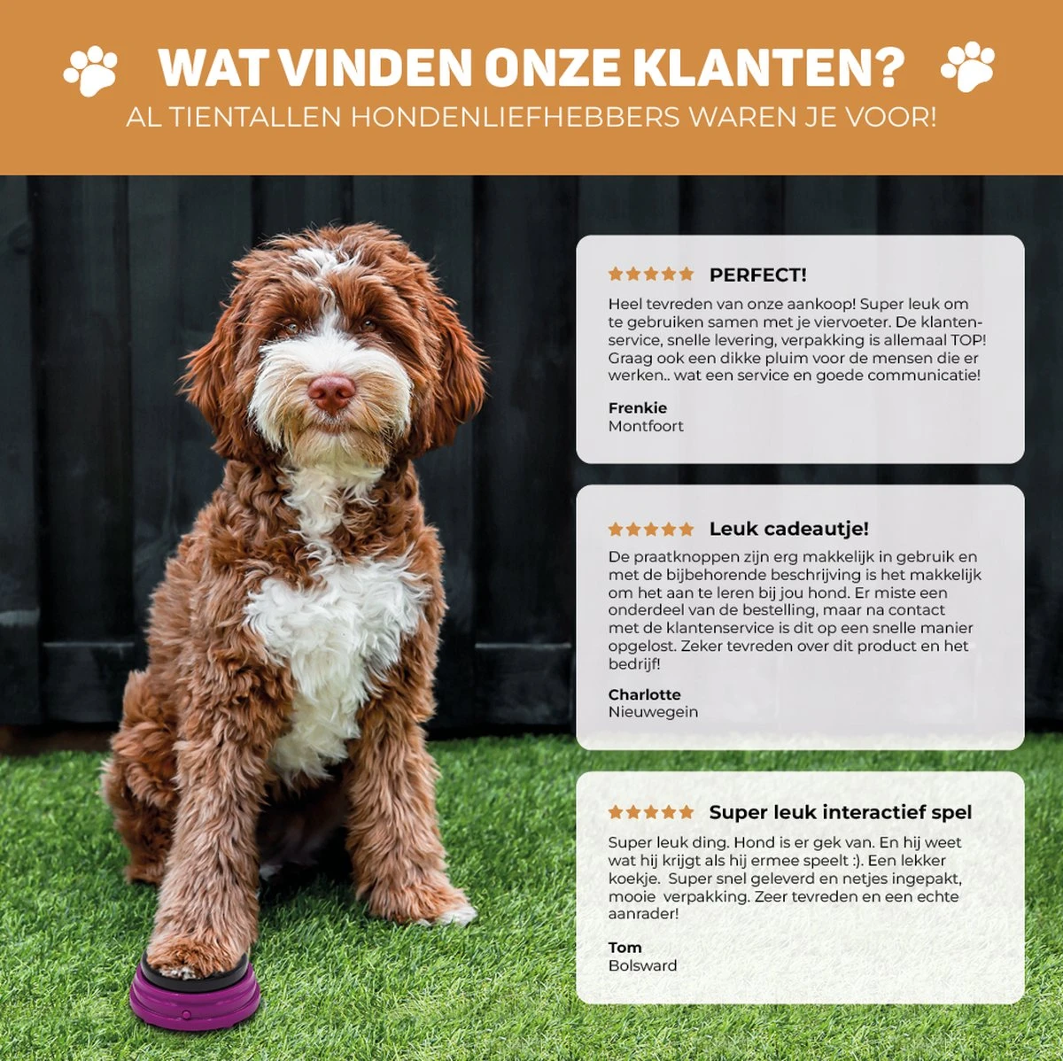 Vulpes Pets® PRO Praatknop Voor Honden - Dogbuttons - Laat Uw Huisdier Spreken - Hondenspeelgoed - Honden Training - Incl. E-Book & Trainingsstickers 12 Vulpes Pets® PRO Praatknop Voor Honden - Dogbuttons - Laat Uw Huisdier Spreken - Hondenspeelgoed - Honden Training - Incl. E-Book & Trainingsstickers - Afbeelding 10