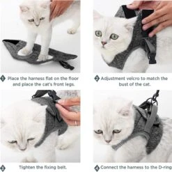 Kattentuig Met Riem, Set, Ontsnappingsbestendig Kattenharnas, Verstelbaar En Zacht, -Huisdier Verkoop 1200x1198 64