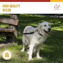 Happilax Dog Leash 2m Adjustable - Black/Reflective - 3-Step Adjustable Leash - Double Leash, Tug Leash - Geschikt Als Hondenriem Voor Grote Honden Of Als Sleepriem Voor Kleine Honden. 13 Happilax Dog Leash 2m Adjustable - Black/Reflective - 3-Step Adjustable Leash - Double Leash, Tug Leash - Geschikt Als Hondenriem Voor Grote Honden Of Als Sleepriem Voor Kleine Honden. -Huisdier Verkoop 1200x1199 1