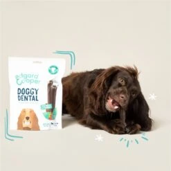 Edgard & Cooper Doggy Dental Sticks Appel - Eucalyptusolie Medium -Huisdier Verkoop 1200x1199 16