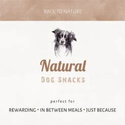 Antos Runderoor Smoked Rund Hondensnack - 280 G - 10 Stuks 15 Antos Runderoor Smoked Rund Hondensnack - 280 G - 10 Stuks -Huisdier Verkoop 1200x1199 19