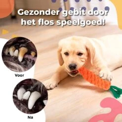 Luxury Diversity - Honden Speelgoed - 12 Honden Speeltjes - Puppy Speelgoed - Honden - Honden Speelgoed Intelligentie -Huisdier Verkoop 1200x1199 23
