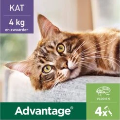 Bayer Anti Vlooienmiddel Advantage 80 > 4 Kg - 4 X 0,8 Ml 25 Bayer Anti Vlooienmiddel Advantage 80 > 4 Kg - 4 X 0,8 Ml -Huisdier Verkoop 1200x1199 29