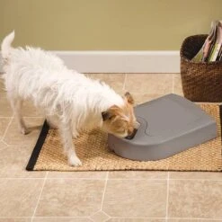 Petsafe Eatwell Automatische-voerbak Voor Vijf Maaltijden - BPA Vrij -Huisdier Verkoop 1200x1200 1059