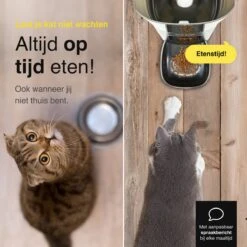 Vivid Green Automatische Voerbak Kat - Voerautomaat - Voerdispenser - Voederbak - SMART App - 6L - Zwart -Huisdier Verkoop 1200x1200 1066