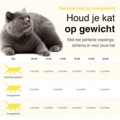 Vivid Green Automatische Voerbak Kat - Voerautomaat - Voerdispenser - Voederbak - SMART App - 6L - Zwart -Huisdier Verkoop 1200x1200 1070