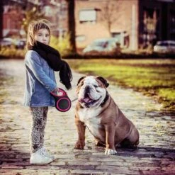 IGOODS - Uitlaatriem - Honden Riem - Katten Riem - Uitlaatriem Voor Dieren - Rollijn - 5 Meter Lang Roze 16 IGOODS - Uitlaatriem - Honden Riem - Katten Riem - Uitlaatriem Voor Dieren - Rollijn - 5 Meter Lang Roze -Huisdier Verkoop 1200x1200 108