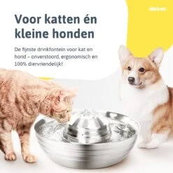Moowi – RVS Drinkfontein Voor Kat En Hond - Fluisterstil - Incl. 3 Filters - Vaatwasserbestendig - Drinkbak Hond - USB Stekker -Huisdier Verkoop 1200x1200 1112