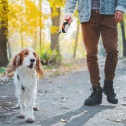 Hondenriem Tape - 5 Meter - Medium - Voor Honden <25 Kg - Zwart-Wit -Huisdier Verkoop 1200x1200 115