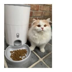 Pettadore Nutri Fresh - Automatische Voerbak Kat/Hond - Smart En Vershoudend - 2.6L 32 Pettadore Nutri Fresh - Automatische Voerbak Kat/Hond - Smart En Vershoudend - 2.6L -Huisdier Verkoop 1200x1200 1175