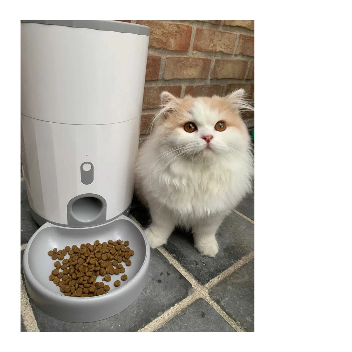 Pettadore Nutri Fresh - Automatische Voerbak Kat/Hond - Smart En Vershoudend - 2.6L 16 Pettadore Nutri Fresh - Automatische Voerbak Kat/Hond - Smart En Vershoudend - 2.6L - Afbeelding 14