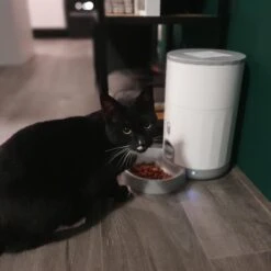 Pettadore Nutri Fresh - Automatische Voerbak Kat/Hond - Smart En Vershoudend - 2.6L 33 Pettadore Nutri Fresh - Automatische Voerbak Kat/Hond - Smart En Vershoudend - 2.6L -Huisdier Verkoop 1200x1200 1176