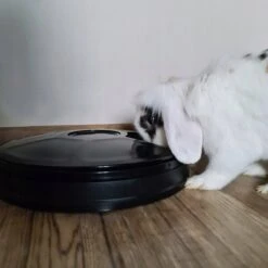 Automatische Hond Kattenbak - Automatische Voerbak - Automatische Voederautomaat - Instelbaar Voedingsschema Voor Huisdier - Automatische Hondenbak -Automatische Kattenbak - 6 Vaks - 24 Uurs TImer - Voor Droog En Nat Voer 15 Automatische Hond Kattenbak - Automatische Voerbak - Automatische Voederautomaat - Instelbaar Voedingsschema Voor Huisdier - Automatische Hondenbak -Automatische Kattenbak - 6 Vaks - 24 Uurs TImer - Voor Droog En Nat Voer -Huisdier Verkoop 1200x1200 1185