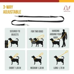 Happilax Dog Leash 2m Adjustable - Black/Reflective - 3-Step Adjustable Leash - Double Leash, Tug Leash - Geschikt Als Hondenriem Voor Grote Honden Of Als Sleepriem Voor Kleine Honden. 10 Happilax Dog Leash 2m Adjustable - Black/Reflective - 3-Step Adjustable Leash - Double Leash, Tug Leash - Geschikt Als Hondenriem Voor Grote Honden Of Als Sleepriem Voor Kleine Honden. -Huisdier Verkoop 1200x1200 119
