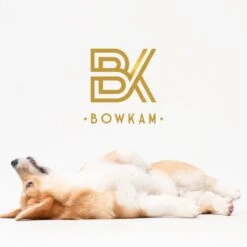 Bowkam Automatische Voerbak – Voerbak – Voerautomaat - Voerbak Kat – Voerbak Hond - Voerautomaat Kat – Wit -Huisdier Verkoop 1200x1200 1207