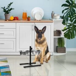 Relaxdays Hondenvoerbak Op Standaard - In Hoogte Verstelbaar - Dubbele Voerbak - Hondenbak - 2 X 2,15 Liter -Huisdier Verkoop 1200x1200 1230