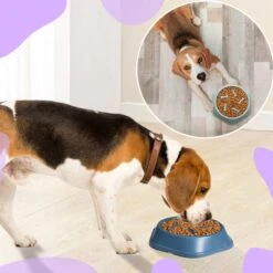 Anti Schrokbak Hond – Voerbak Honden – Slow Feeder – Anti Schrok Voerbak – Slow Bowl - Blauw -Huisdier Verkoop 1200x1200 1238