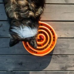 Outward Hound Slo Bowl Fun Feeder Voerbak - Anti Schrok Voerbak - Voerbak Slo-Bowl Mini Drop Teal Lichtblauw - 22X22X5 CM -Huisdier Verkoop 1200x1200 1254