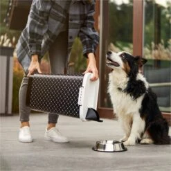 Rotho Voedselcontainer CODY - Voeropslag - 50l - Zwart -Huisdier Verkoop 1200x1200 1265