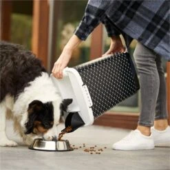 Rotho Voedselcontainer CODY - Voeropslag - 50l - Zwart -Huisdier Verkoop 1200x1200 1266