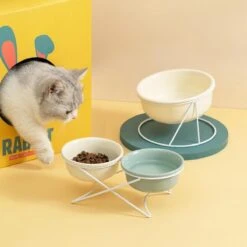 GIZMO 2x Voerbak Kat/Hond (Groot) - 800ML - Donkergroen - Keramische Drink- & Voerbakken Met Standaard - 17.5 Cm - 2 Stuks -Huisdier Verkoop 1200x1200 1274