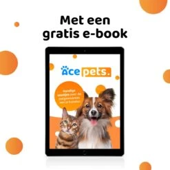 ACE Pets Ergonomische Voerbak Kat - Kattenvoerbakjes - Drinkbak Kat - Kat Voerbak 24 ACE Pets Ergonomische Voerbak Kat - Kattenvoerbakjes - Drinkbak Kat - Kat Voerbak -Huisdier Verkoop 1200x1200 1279