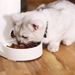 Automatische Huisdier Voerbak Voor Katten, Middelgrote En Kleine Honden En Andere Huisdieren - Kat - Hond 9 Automatische Huisdier Voerbak Voor Katten, Middelgrote En Kleine Honden En Andere Huisdieren - Kat - Hond -Huisdier Verkoop 1200x1200 1288