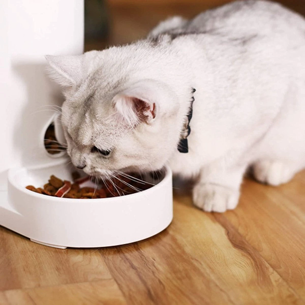 Automatische Huisdier Voerbak Voor Katten, Middelgrote En Kleine Honden En Andere Huisdieren - Kat - Hond 5 Automatische Huisdier Voerbak Voor Katten, Middelgrote En Kleine Honden En Andere Huisdieren - Kat - Hond - Afbeelding 3