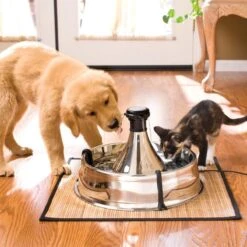 PetSafe Drinkwell 360 21 PetSafe Drinkwell 360 -Huisdier Verkoop 1200x1200 1304