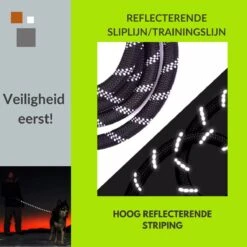 1FORME Hondenriem 15-30kg - Sliplijn Hond REFLECTEREND 2m, Ø 1.2cm - Jachtlijn 2 Ergonomische Handvaten - Dubbel Stop -Huisdier Verkoop 1200x1200 131