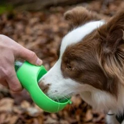 Mister Mill Drinkfles Hond - Honden Bidon - Waterfles - 500ML + 50ML Voeropslag + Poepzakjes Container -Huisdier Verkoop 1200x1200 1311