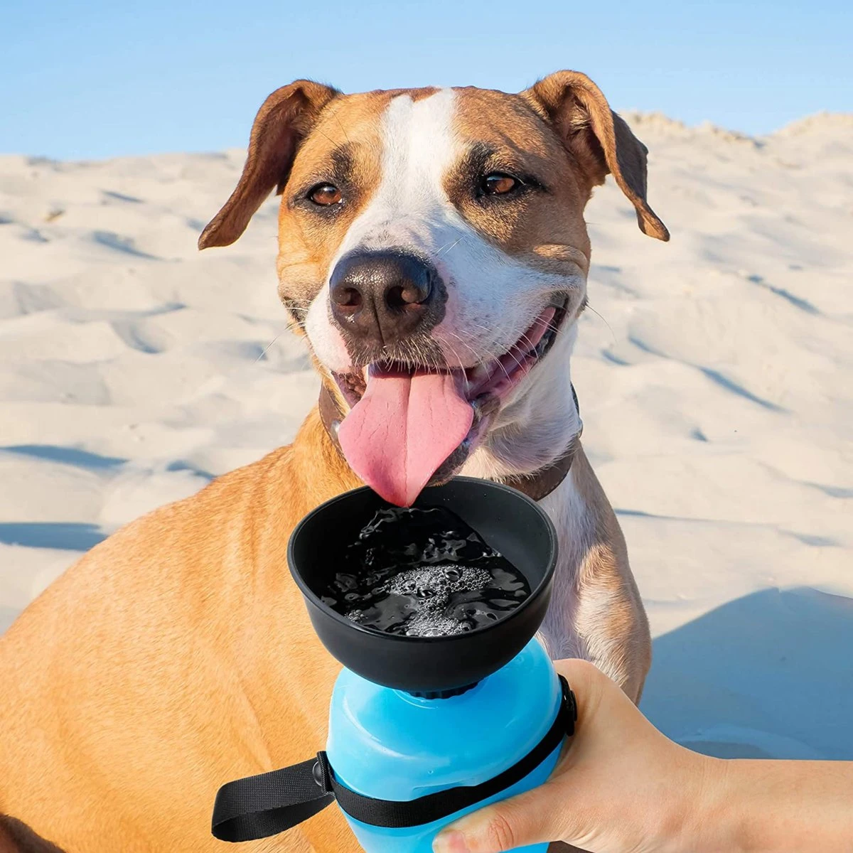VEDIC® - Honden Drinkfles Blauw - Lekvrije Waterfles - Bidon - BPA Vrij - Voor Onderweg - 520ML 9 VEDIC® - Honden Drinkfles Blauw - Lekvrije Waterfles - Bidon - BPA Vrij - Voor Onderweg - 520ML - Afbeelding 7