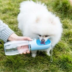 Nobleza 43B4B - Honden Waterfles - 380ml - Honden Bidon - Honden Drinkfles - Blauw 18 Nobleza 43B4B - Honden Waterfles - 380ml - Honden Bidon - Honden Drinkfles - Blauw -Huisdier Verkoop 1200x1200 1320