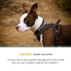 Hondentuigje Medium – Hondenharnas - Anti Trek Tuig Hond – Y Tuig – Reflecterend – Zwart – Maat M -Huisdier Verkoop 1200x1200 1335