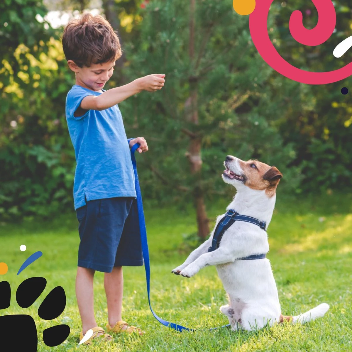 Hondentuig - Hondenharnas - Hondenriem - Anti Trek - Autogordel Hond - Zwart - Maat S 6 Hondentuig - Hondenharnas - Hondenriem - Anti Trek - Autogordel Hond - Zwart - Maat S - Afbeelding 4