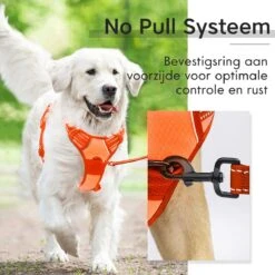 Sharon B - Hondentuigje - Voor Middelgrote Honden - Oranje - Maat M - No Pull - Anti Trek - Reflecterend - Hoeft Niet Over Het Hoofd Aangetrokken Te Worden -Huisdier Verkoop 1200x1200 1347