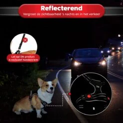 Purrr Fect Hondentuigje - Anti-Trek Tuig - Hondenharnas - Y Tuig Hond - Waterproof - Reflecterend - Verstelbaar - Maat M -Huisdier Verkoop 1200x1200 1356