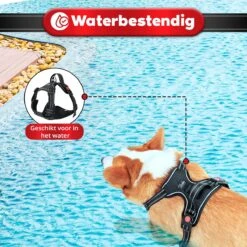 Purrr Fect Hondentuigje - Anti-Trek Tuig - Hondenharnas - Y Tuig Hond - Waterproof - Reflecterend - Verstelbaar - Maat M -Huisdier Verkoop 1200x1200 1357